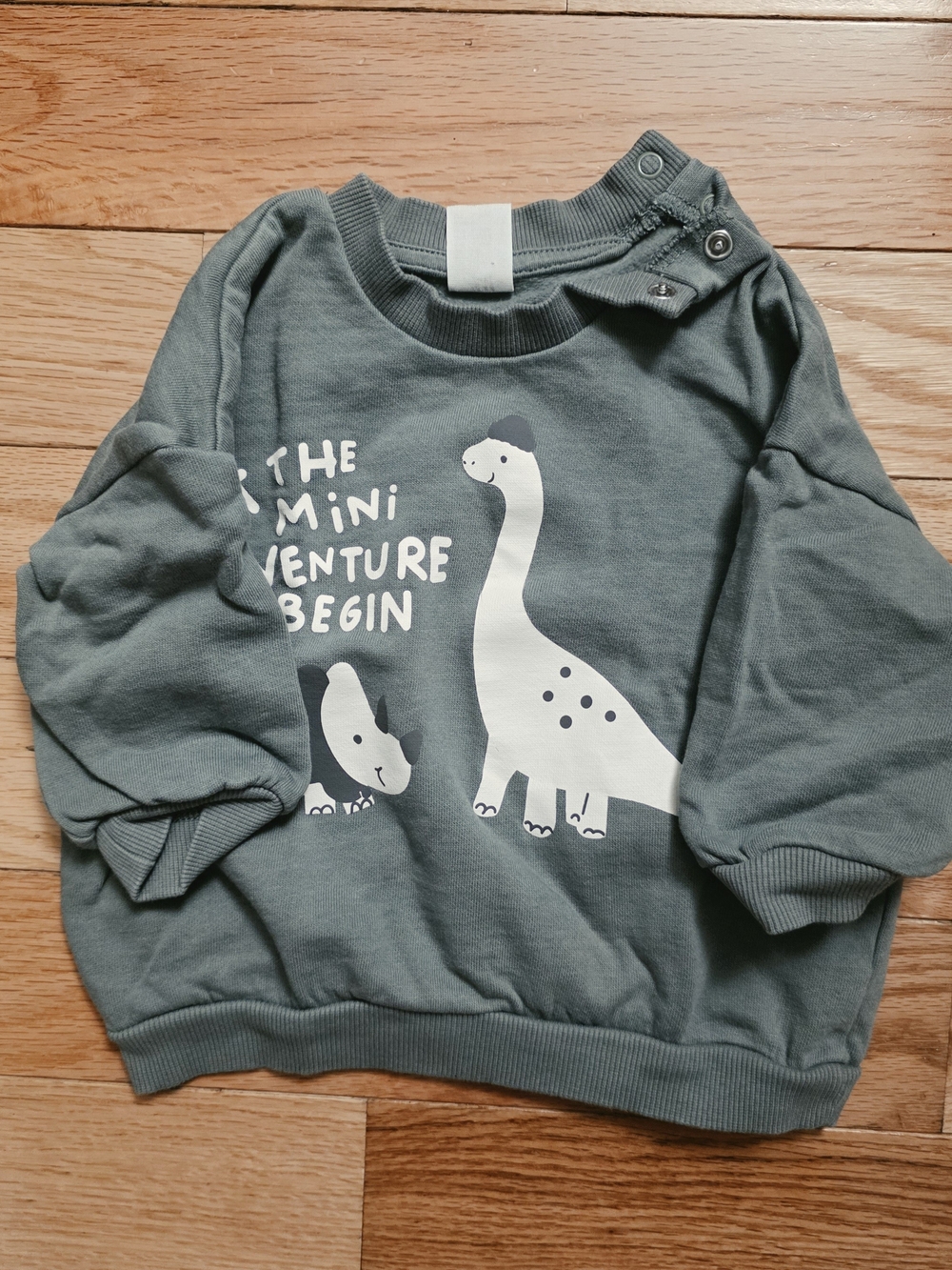 H&M Olive Green Dino Graphic Sweatshirt for Kids